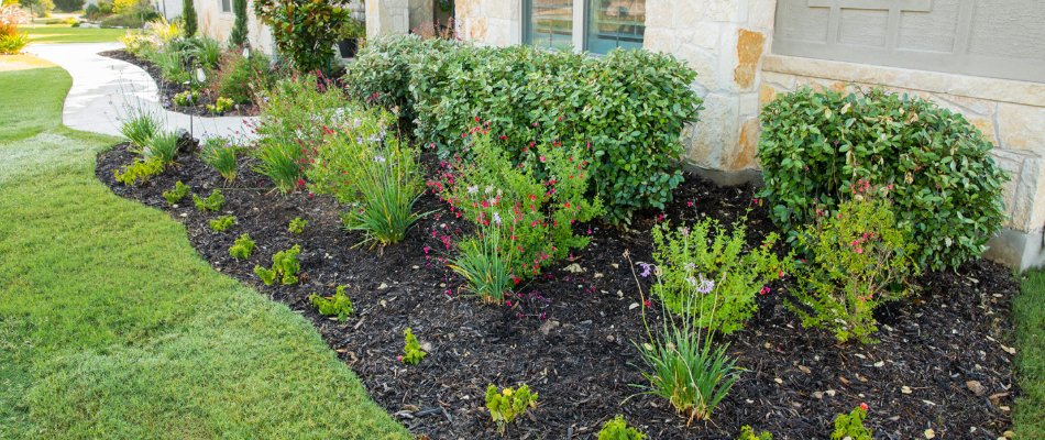 Landscape in New Braunfels, TX, with mulch and plants.