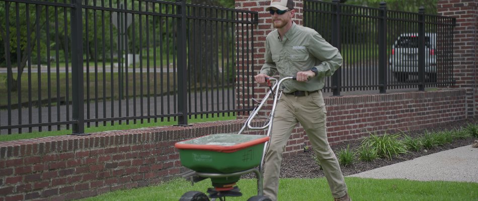 Tech pushing a granular spreader across a lawn in Memphis, TN.