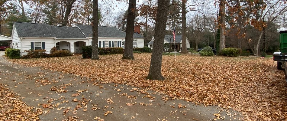 Leaves covering a lawn and driveway of a house in Matthews, NC.
