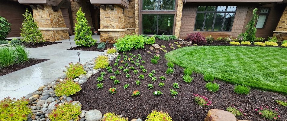 Mulch landscape bed in front of a home in Overland Park, KS.