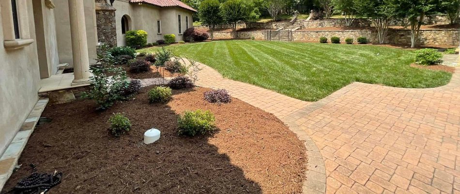 Plants and mulch in a landscape bed in Matthews, NC.