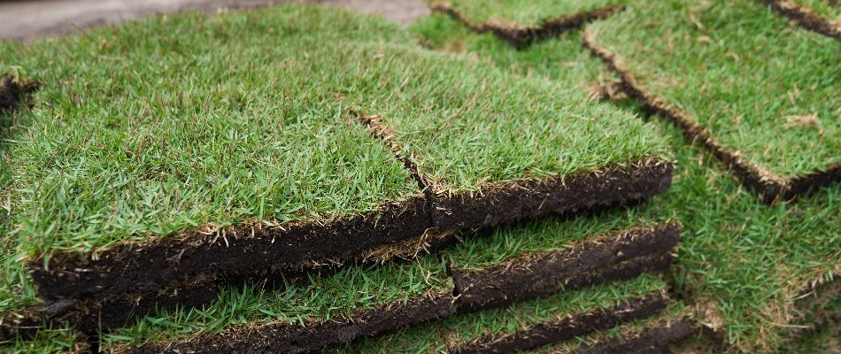 Pieces of zoysia sod in Orlando, FL.