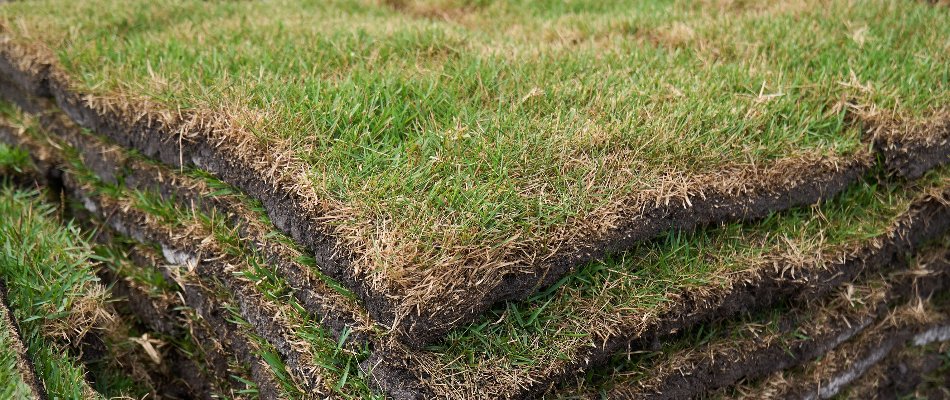 Pile of sod pieces in Orlando, FL.