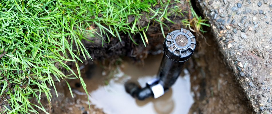 Puddle around a broken sprinkler head in Matthews, NC.