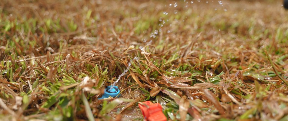 Irrigation sprinkler head on a lawn in Matthews, NC, with low water pressure.