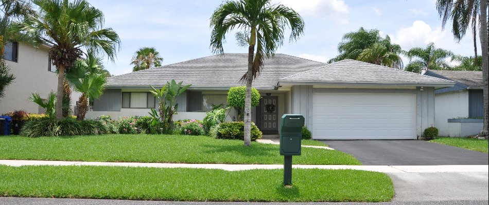 Healthy, thick lawn with palm trees on a property in The Villages, FL.