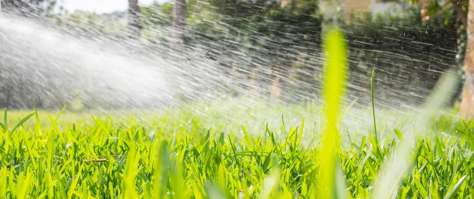Liquid treatment spraying on a lawn in Austin, TX.
