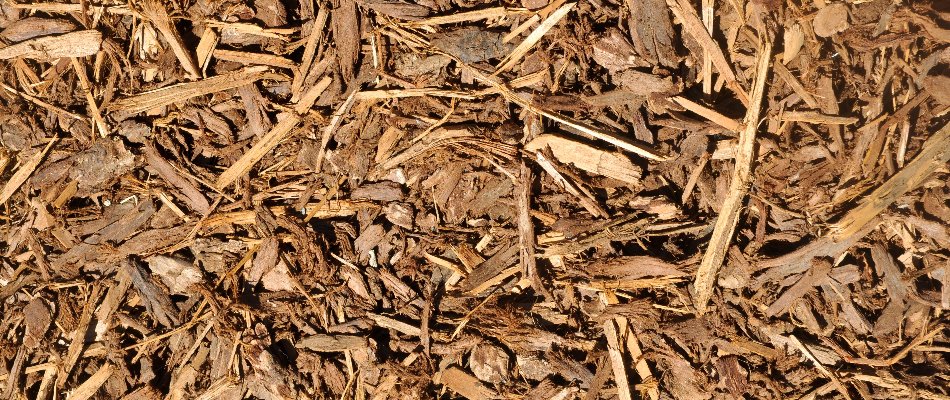 Closeup of cedar mulch in Tulsa, OK.