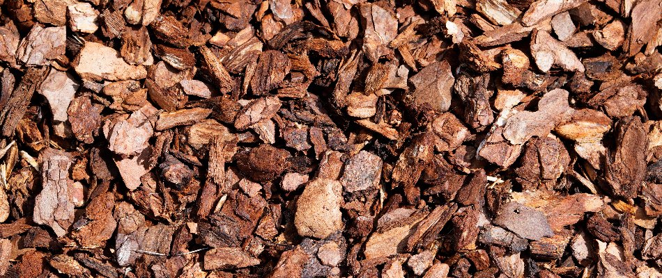 Closeup of pine bark mulch in Tulsa, OK.