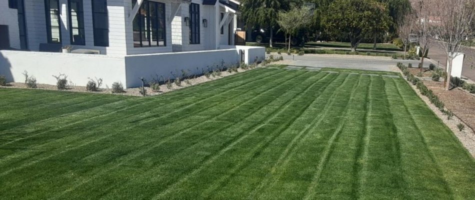 Neatly mowed grass near a house in Paradise Valley, AZ.