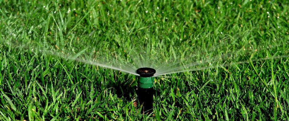Black sprinkler head with a green stripe on a property in Ankeny, IA.