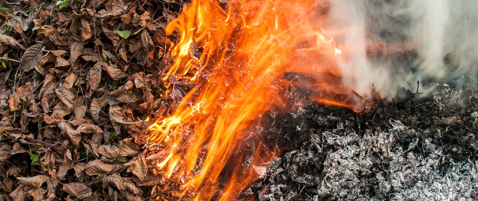 Burning a pile of dry leaves in Matthews, NC.