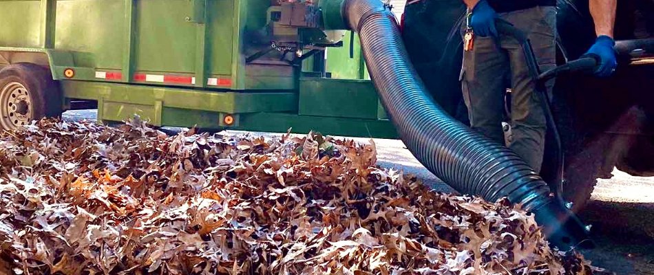 Professional using a vacuum truck to suck up the leaves from a yard in Matthews, NC.