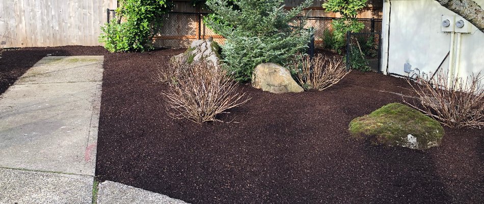 Dark brown mulch and plants in a landscape in Portland, OR.