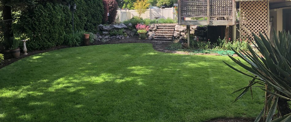 Debris-free yard in Portland, OR, with grass and plants.